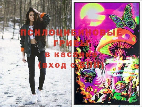 не бодяженный Алексин