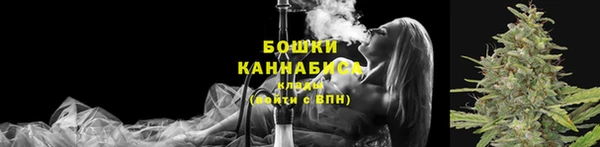 прущие грибы Аркадак