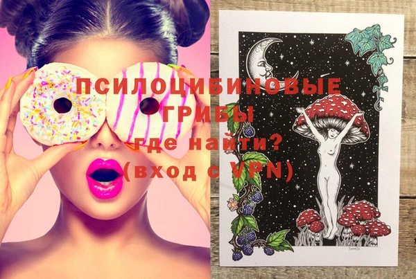 не бодяженный Алексин