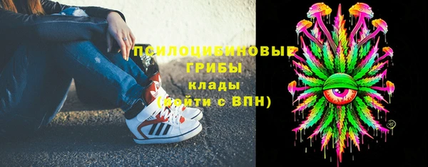 гидропоника Алзамай