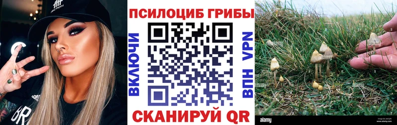 Псилоцибиновые грибы мухоморы купить наркотик Лесной